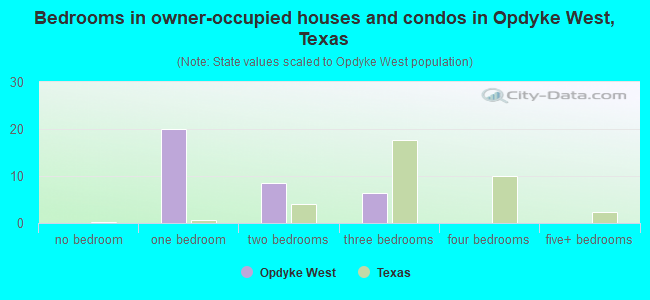 Bedrooms in owner-occupied houses and condos in Opdyke West, Texas