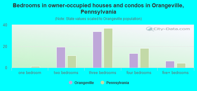 Bedrooms in owner-occupied houses and condos in Orangeville, Pennsylvania