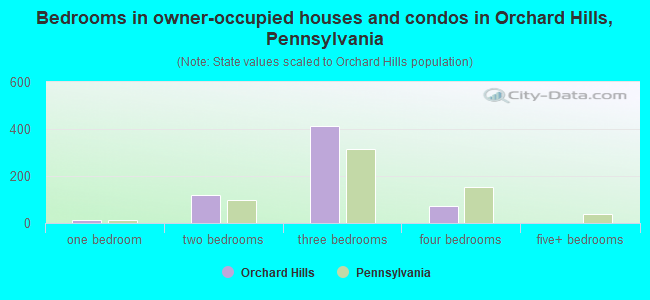 Bedrooms in owner-occupied houses and condos in Orchard Hills, Pennsylvania