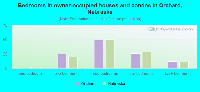 Bedrooms in owner-occupied houses and condos in Orchard, Nebraska