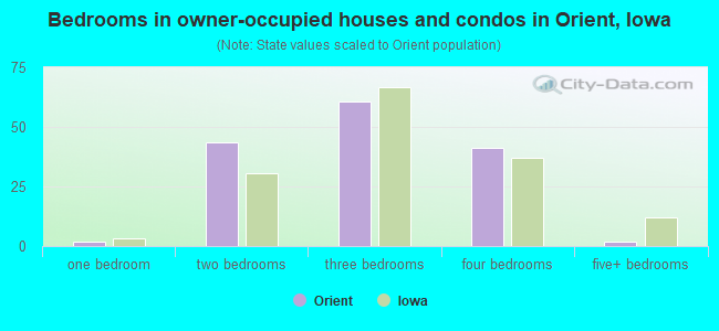 Bedrooms in owner-occupied houses and condos in Orient, Iowa