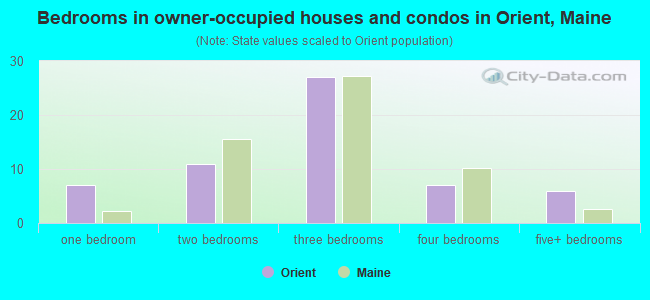Bedrooms in owner-occupied houses and condos in Orient, Maine