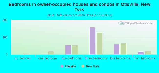 Bedrooms in owner-occupied houses and condos in Otisville, New York