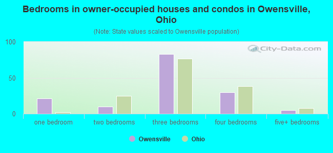 Bedrooms in owner-occupied houses and condos in Owensville, Ohio