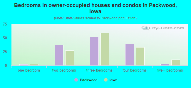Bedrooms in owner-occupied houses and condos in Packwood, Iowa