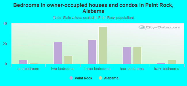 Bedrooms in owner-occupied houses and condos in Paint Rock, Alabama