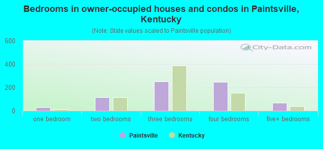 Bedrooms in owner-occupied houses and condos in Paintsville, Kentucky