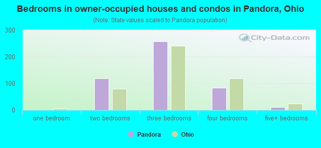 Bedrooms in owner-occupied houses and condos in Pandora, Ohio