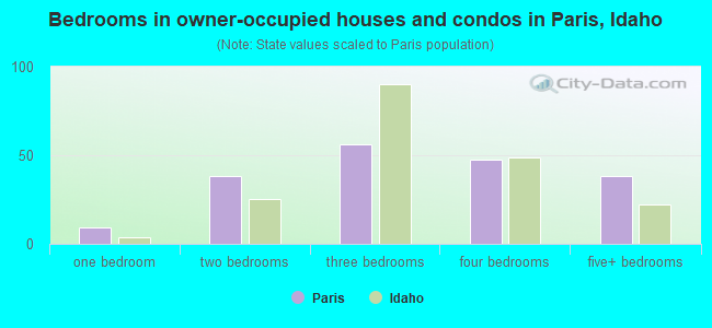 Bedrooms in owner-occupied houses and condos in Paris, Idaho