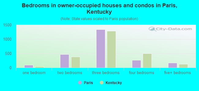 Bedrooms in owner-occupied houses and condos in Paris, Kentucky