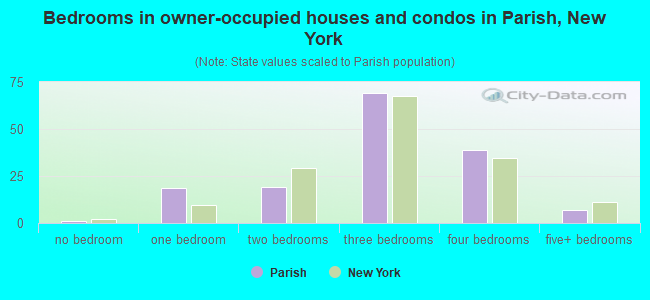 Bedrooms in owner-occupied houses and condos in Parish, New York