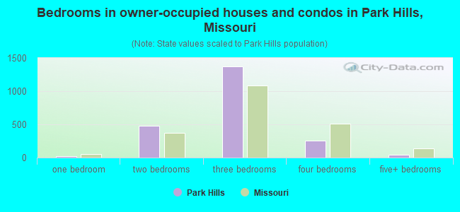 Bedrooms in owner-occupied houses and condos in Park Hills, Missouri