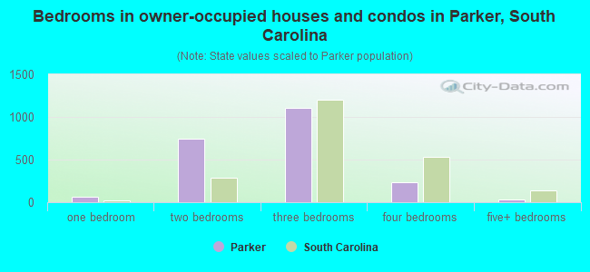 Bedrooms in owner-occupied houses and condos in Parker, South Carolina