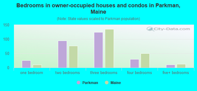 Bedrooms in owner-occupied houses and condos in Parkman, Maine