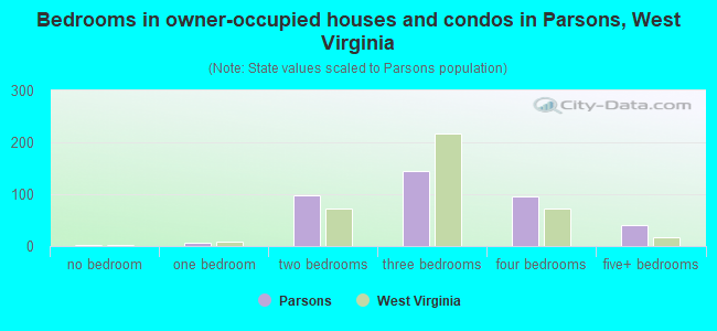 Bedrooms in owner-occupied houses and condos in Parsons, West Virginia