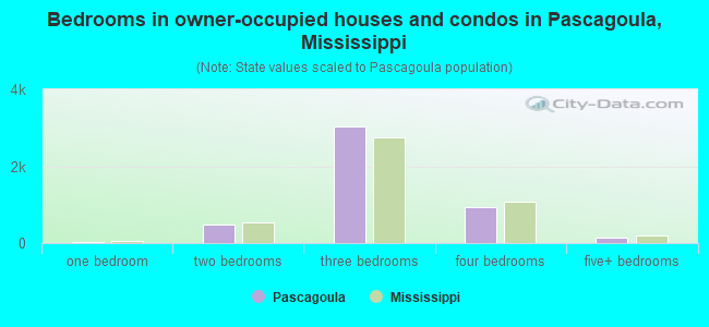 Bedrooms in owner-occupied houses and condos in Pascagoula, Mississippi