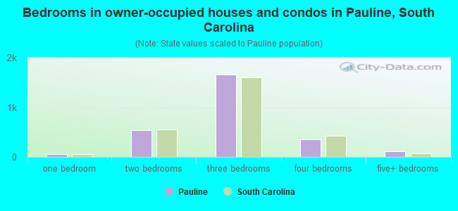Bedrooms in owner-occupied houses and condos in Pauline, South Carolina