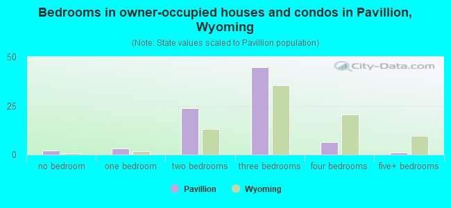 Bedrooms in owner-occupied houses and condos in Pavillion, Wyoming