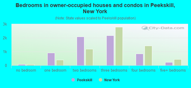 Bedrooms in owner-occupied houses and condos in Peekskill, New York