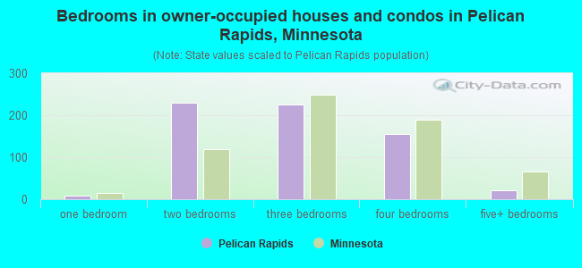 Bedrooms in owner-occupied houses and condos in Pelican Rapids, Minnesota
