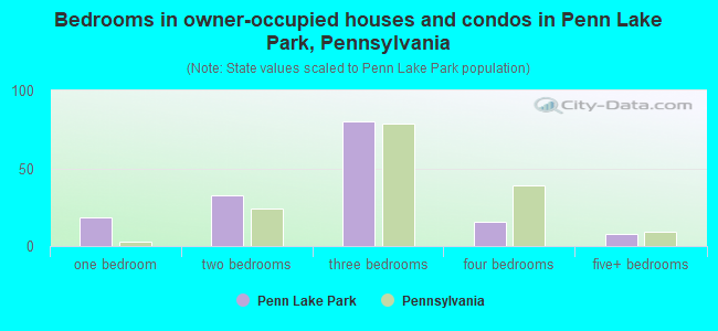 Bedrooms in owner-occupied houses and condos in Penn Lake Park, Pennsylvania
