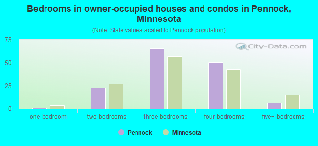 Bedrooms in owner-occupied houses and condos in Pennock, Minnesota