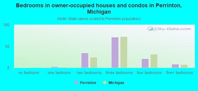 Bedrooms in owner-occupied houses and condos in Perrinton, Michigan