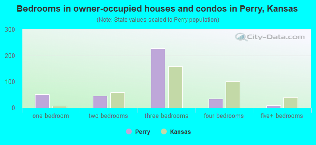 Bedrooms in owner-occupied houses and condos in Perry, Kansas