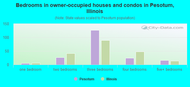 Bedrooms in owner-occupied houses and condos in Pesotum, Illinois