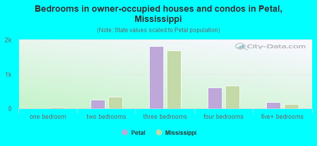 Bedrooms in owner-occupied houses and condos in Petal, Mississippi