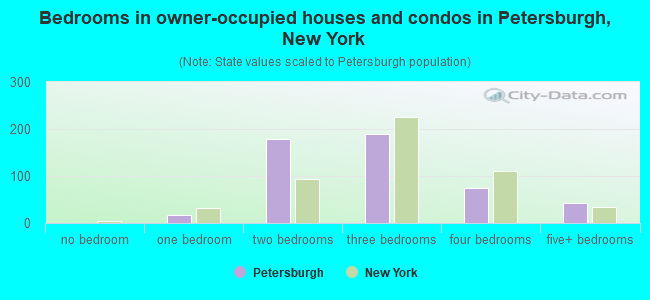 Bedrooms in owner-occupied houses and condos in Petersburgh, New York