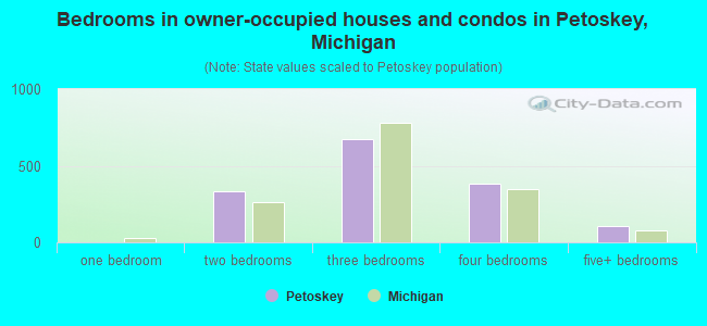 Bedrooms in owner-occupied houses and condos in Petoskey, Michigan