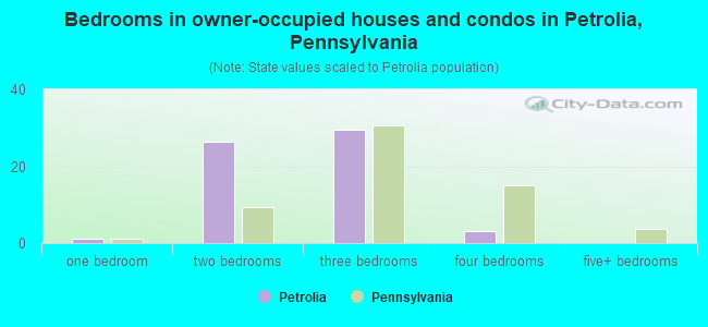 Bedrooms in owner-occupied houses and condos in Petrolia, Pennsylvania