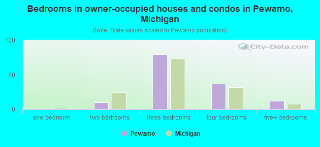 Bedrooms in owner-occupied houses and condos in Pewamo, Michigan