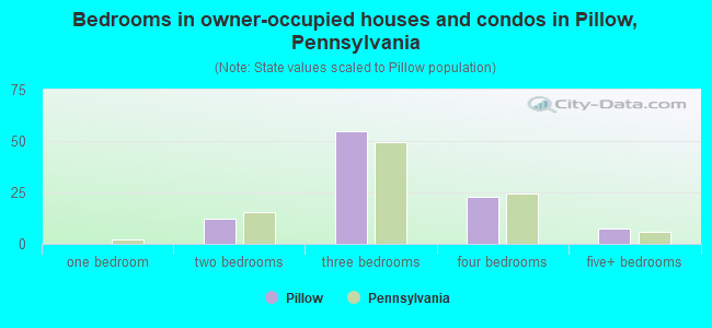 Bedrooms in owner-occupied houses and condos in Pillow, Pennsylvania