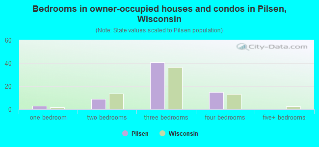 Bedrooms in owner-occupied houses and condos in Pilsen, Wisconsin