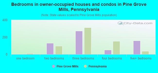 Bedrooms in owner-occupied houses and condos in Pine Grove Mills, Pennsylvania