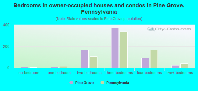 Bedrooms in owner-occupied houses and condos in Pine Grove, Pennsylvania
