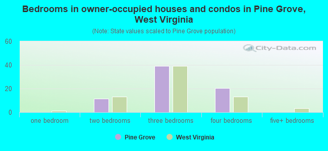 Bedrooms in owner-occupied houses and condos in Pine Grove, West Virginia