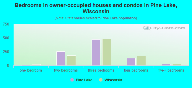 Bedrooms in owner-occupied houses and condos in Pine Lake, Wisconsin
