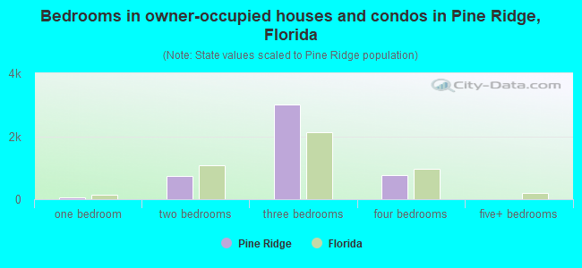 Bedrooms in owner-occupied houses and condos in Pine Ridge, Florida
