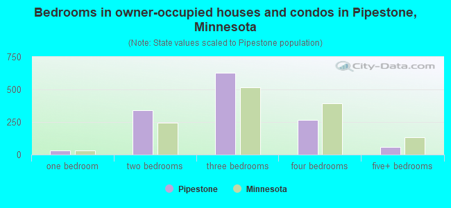 Bedrooms in owner-occupied houses and condos in Pipestone, Minnesota