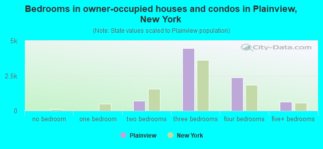 Bedrooms in owner-occupied houses and condos in Plainview, New York