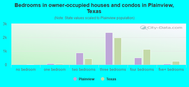 Bedrooms in owner-occupied houses and condos in Plainview, Texas