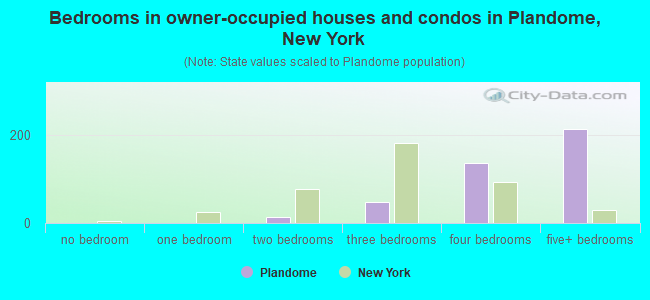 Bedrooms in owner-occupied houses and condos in Plandome, New York