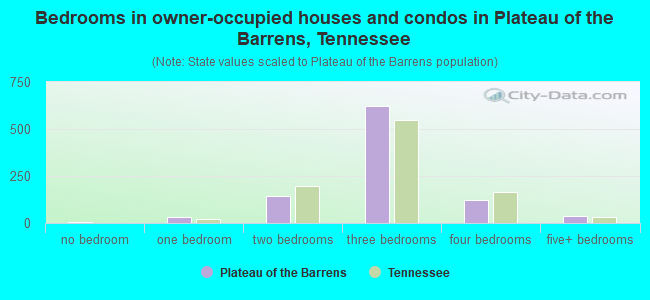 Bedrooms in owner-occupied houses and condos in Plateau of the Barrens, Tennessee