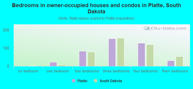 Bedrooms in owner-occupied houses and condos in Platte, South Dakota