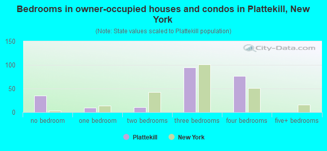Bedrooms in owner-occupied houses and condos in Plattekill, New York