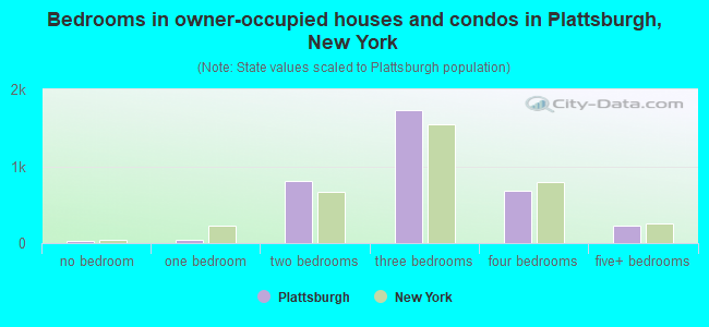 Bedrooms in owner-occupied houses and condos in Plattsburgh, New York