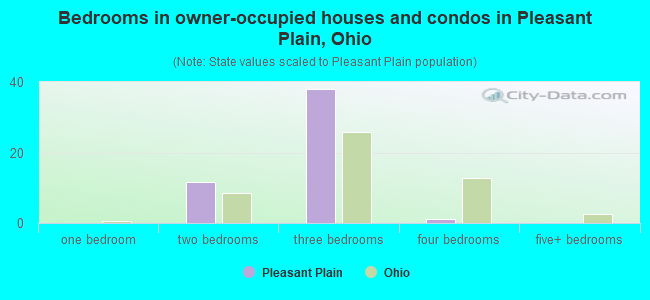 Bedrooms in owner-occupied houses and condos in Pleasant Plain, Ohio